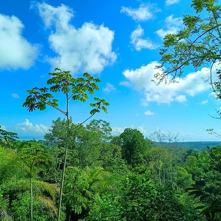 Osa Private Renting House-Villas-Tented-Best Views-Nature-Comfort Puerto Jimenez Ngoại thất bức ảnh