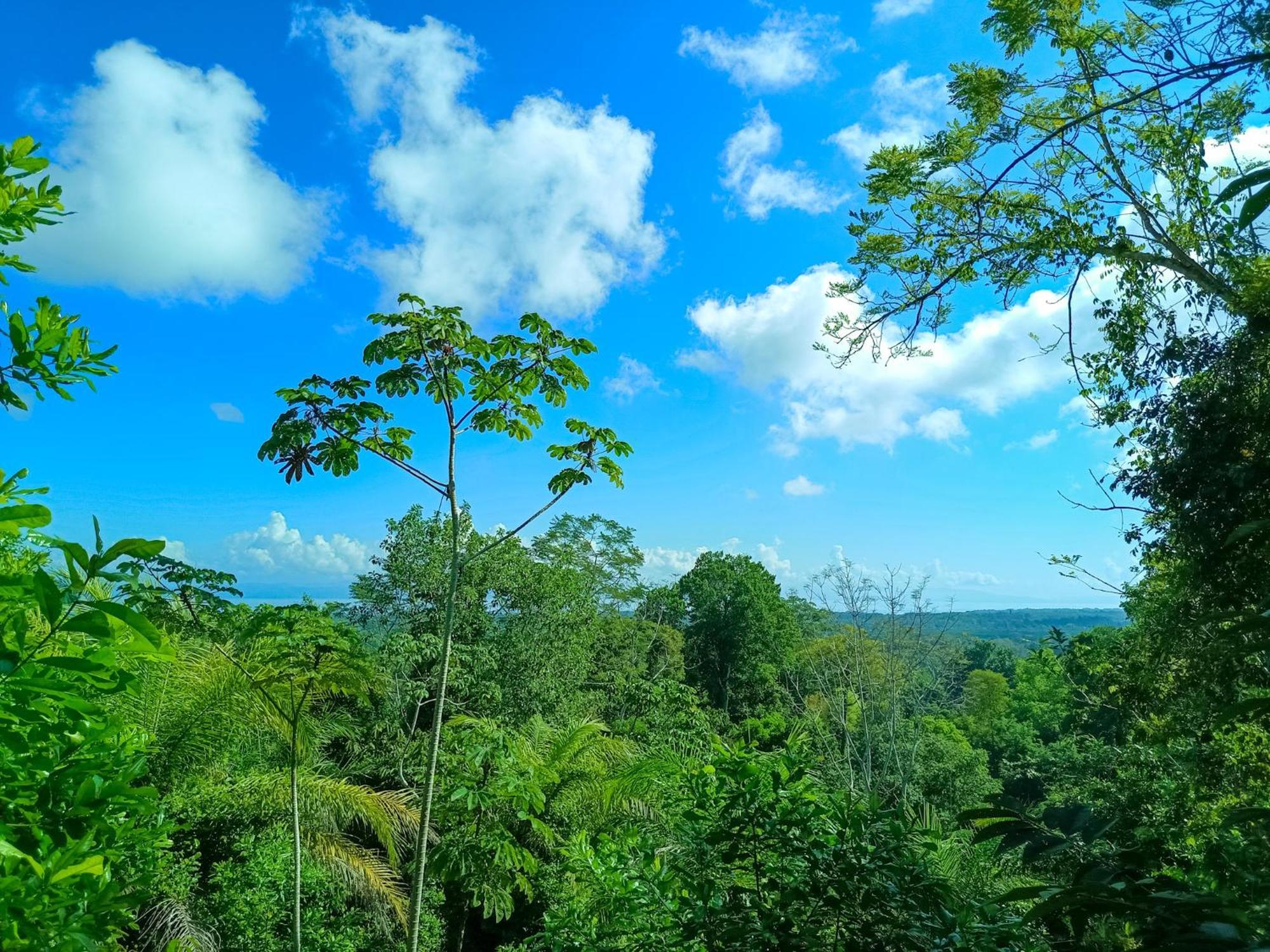 Osa Private Renting House-Villas-Tented-Best Views-Nature-Comfort Puerto Jimenez Ngoại thất bức ảnh
