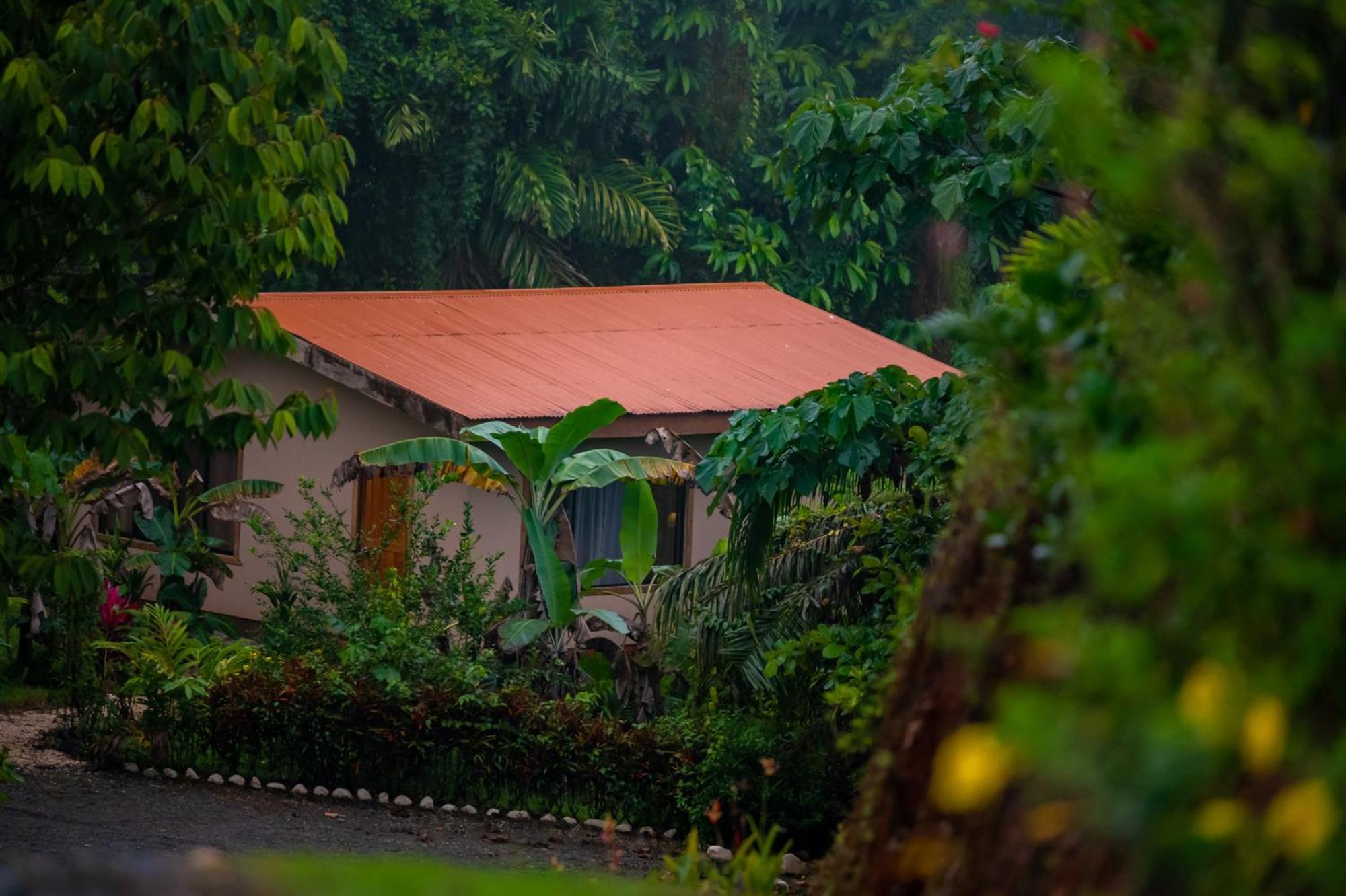 Osa Private Renting House-Villas-Tented-Best Views-Nature-Comfort Puerto Jimenez Ngoại thất bức ảnh