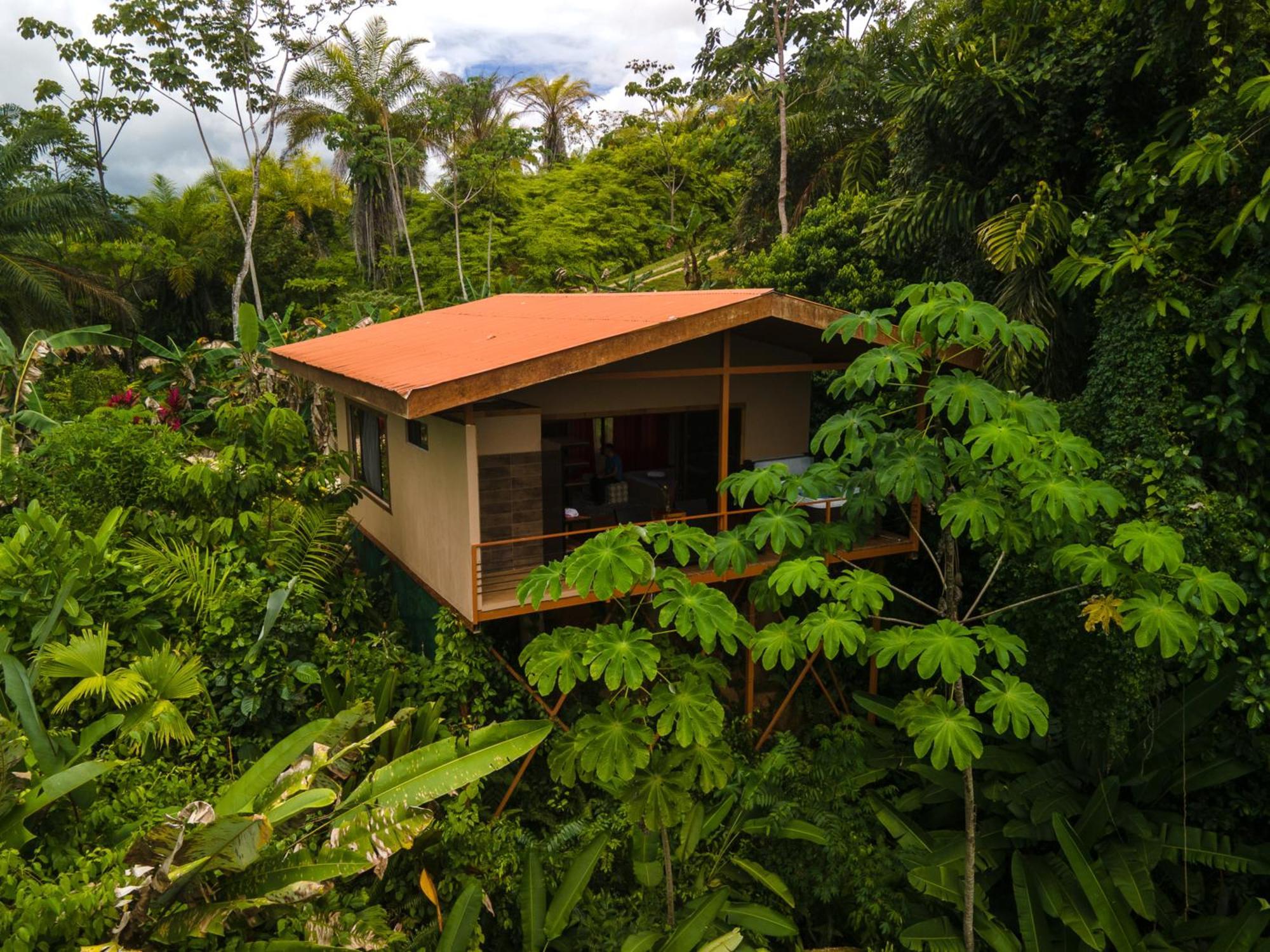 Osa Private Renting House-Villas-Tented-Best Views-Nature-Comfort Puerto Jimenez Ngoại thất bức ảnh